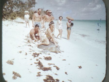 Great Barrier Reef, Queensland Australia - View-Master Single Reel - vintage - 5010 Online now