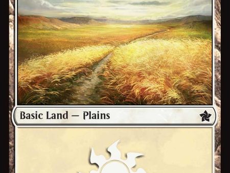 Plains (0273) [Foundations] Discount