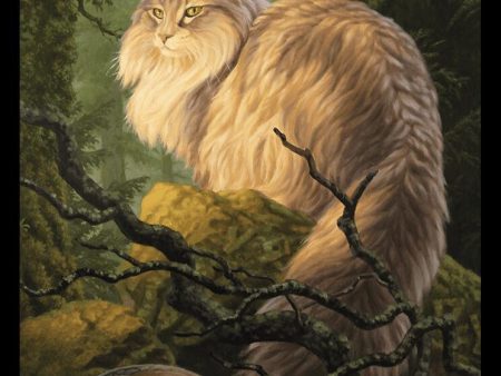 Cat    Beast (025) Double-Sided Token [Bloomburrow Commander Tokens] Online