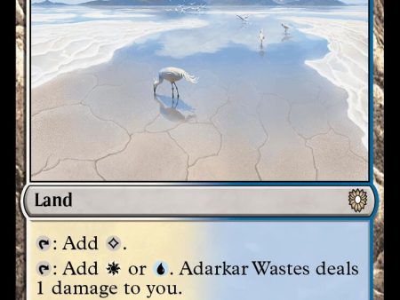 Adarkar Wastes [Bloomburrow Commander] Cheap